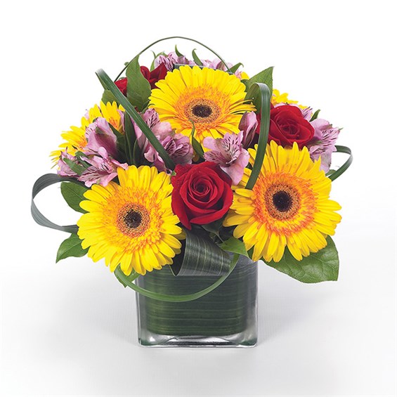 Sunflower Fields flower bouquet (BF17-11K)